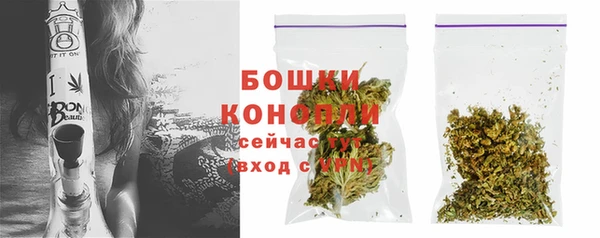 spice Аркадак