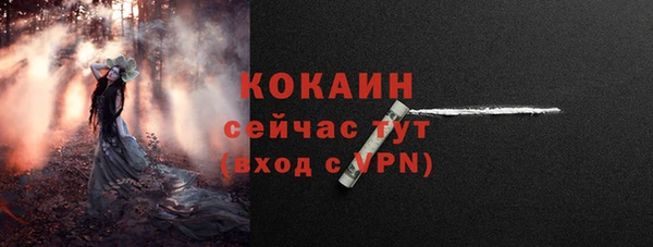 прущие крисы Арсеньев