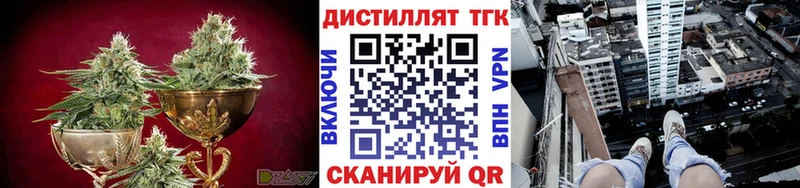 Купить где  Судогда  Дистиллят ТГК Wax 