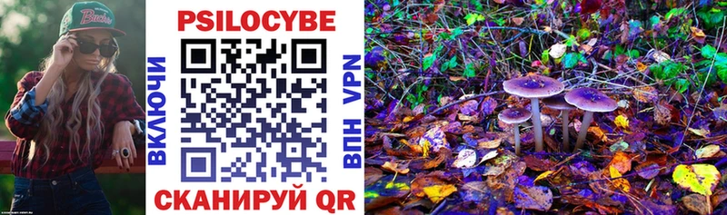 Галлюциногенные грибы Psilocybe  Купить где  Судогда 